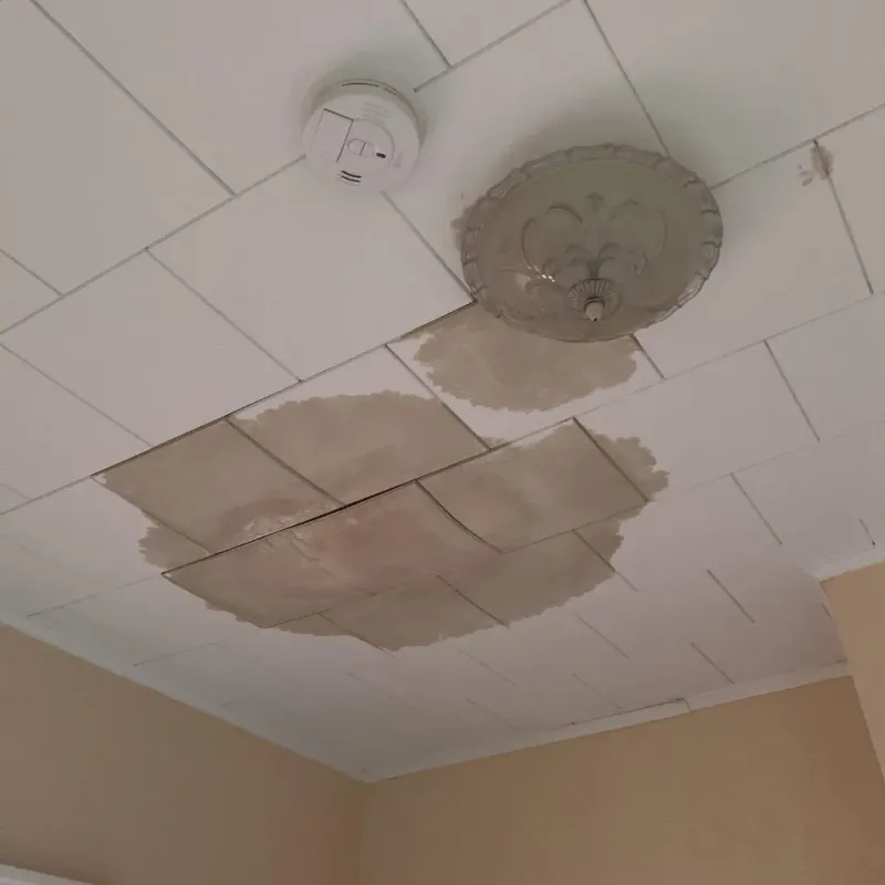 Ceiling Water Damage Repair in Clifton Forge, VA