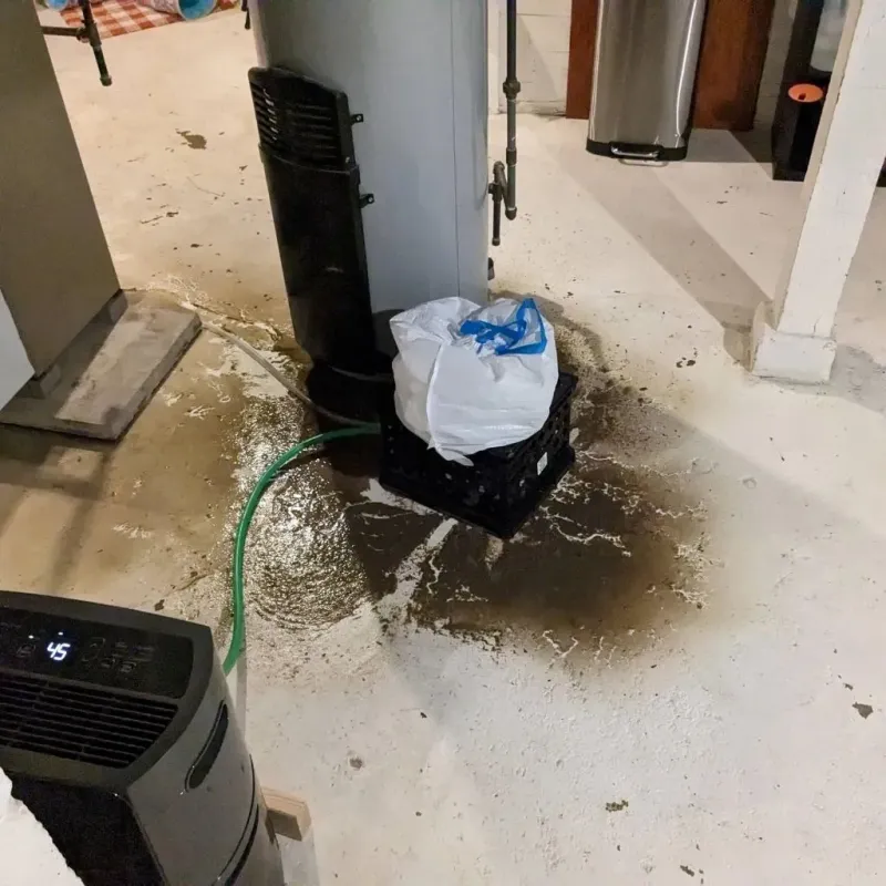 Sewage Backup Cleanup Service in Clifton Forge, VA